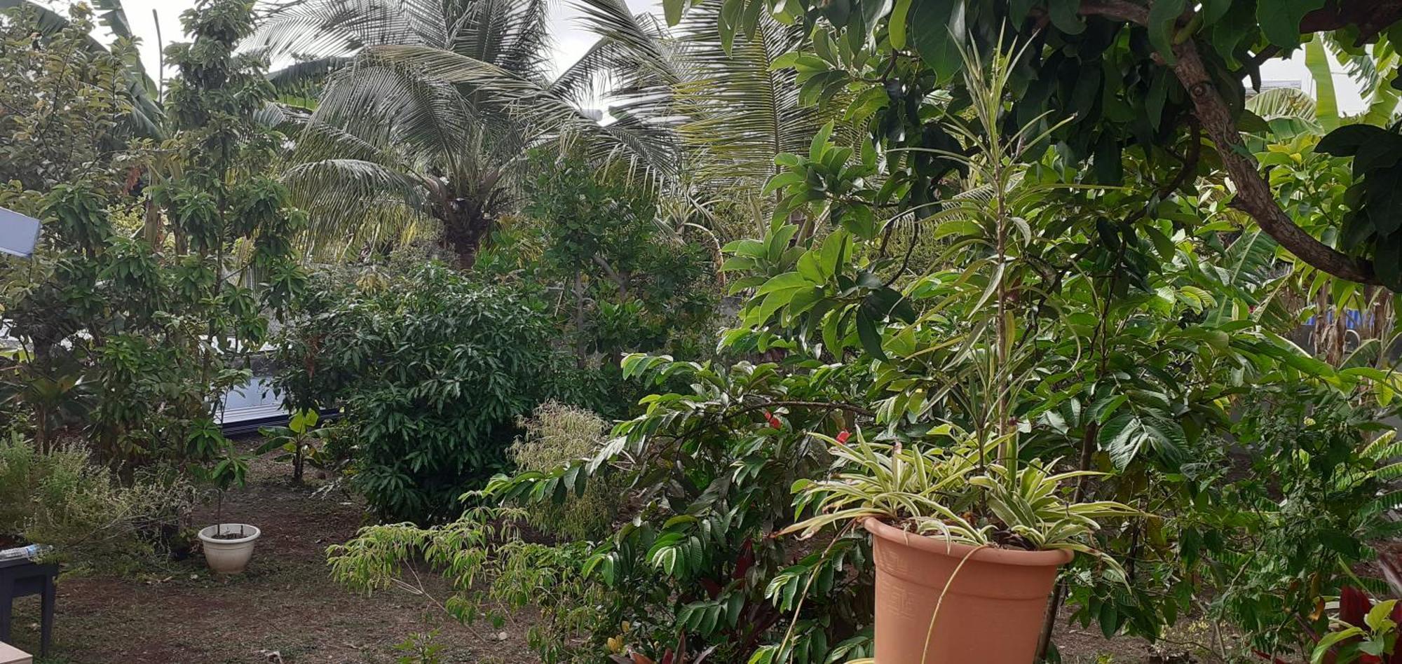 Le P'Tit Nid Cocodydy Daire Baillif Dış mekan fotoğraf